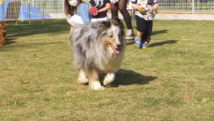 2015_05025-2アイル