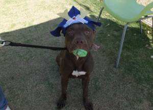 2015_05055-5サラ２