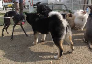 2015_05065-6みんな３