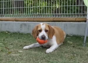 2015_05085-7ムサシ