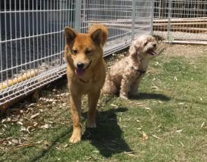 2015_05175-17クウクル