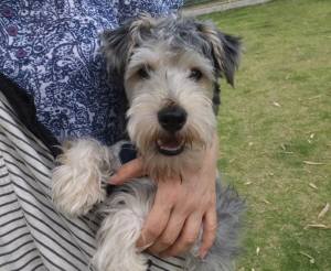 2015_05205-20ヒュウガ