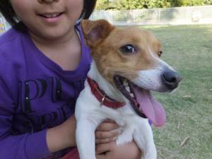 2015_05055-5ライト２