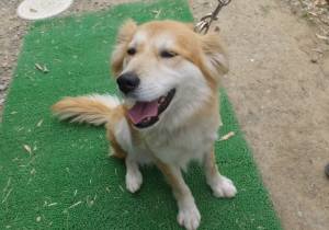 2015_05185-18のんちゃん２