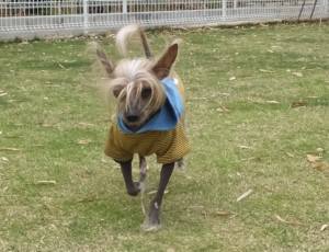 2015_05185-18ケンちゃん