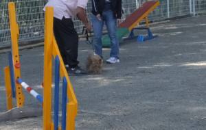 2015_05055-5なつめ１