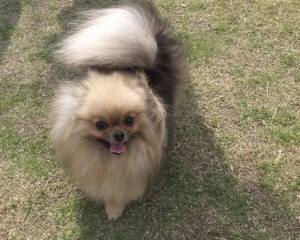 2015_05065-6ミライ