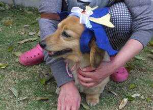 2015_05045-4ライム