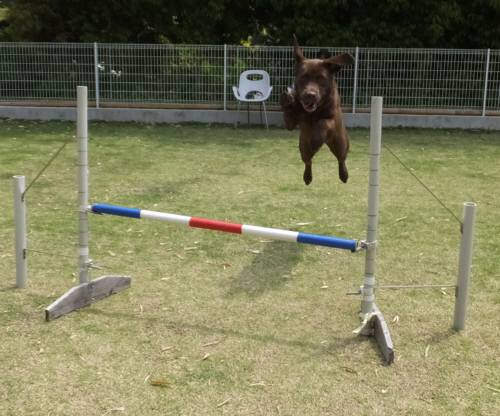 2015_05185-18ララジャンプ