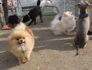 2015_05065-6みんな４