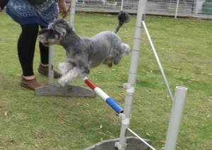 2015_05195-19まめ３