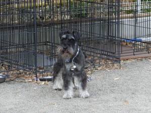 2015_05275-26ケルン