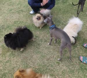 2015_05065-6Ｍ’Ｓ