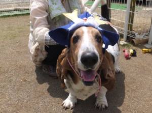 2015_05085-7まろん