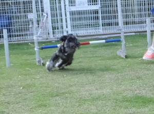 2015_06106-8けるん