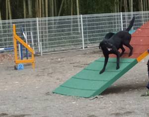 2015_06056-4ハル２