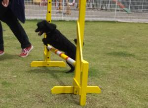 2015_06066-5ウルー