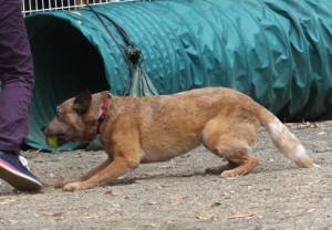 2015_06056-4ティキ