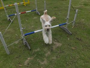 2015_06206-20よつば