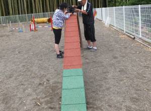 2015_06036-3ケルン２