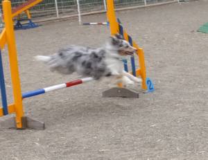 2015_06026-2あいる２