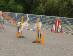 2015_06026-2なっつ