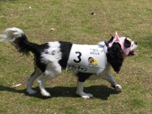 2015_06016-1あられ１