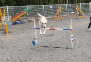 2015_06056-4なっつ