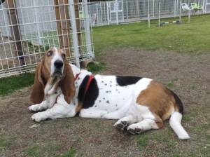 2015_06086-6マロン