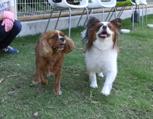 2015_06106-8ベルリン