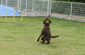 2015_06036-3ララ２