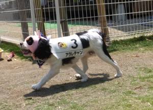 2015_06016-1あられ2