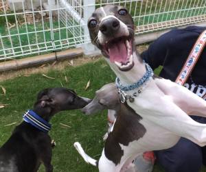 2015_06066-5みうみう