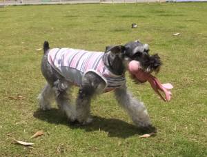 2015_06066-5クレア