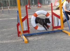 2015_06016-1さくら