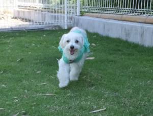 2015_06106-8めるちゃん