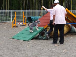 2015_06306-30ヒュウガ