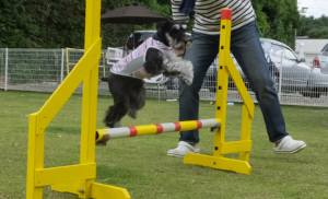 2015_06066-5ルネアジャンプ