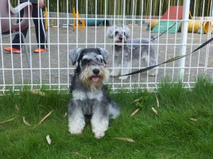 2015_07127-12ビビライザ