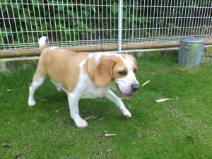 2015_07127-12むさし