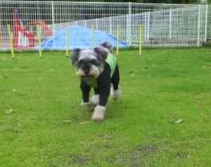 2015_07187-18茶々１