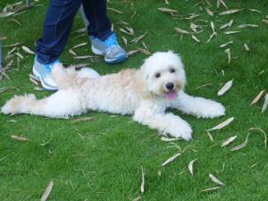 2015_07127-12よつば２