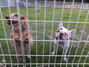 2015_07127-12チェル家