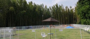 20150613フィールド全景