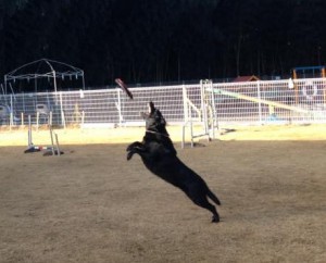 %e3%83%99%e3%83%ab%e3%81%a1%e3%82%83%e3%82%93