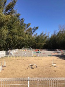 28379284_1984748711789793_1677234682986499430_n