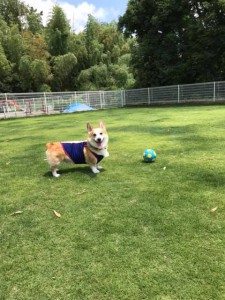 66939535_2294673310797330_2310000129534328832_n[1]