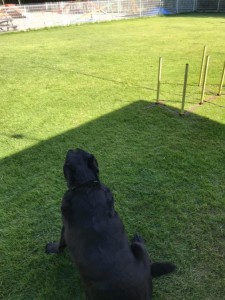 72378264_2356289174635743_3452675989656567808_n[2]