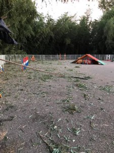 72477623_2356157401315587_7595090758881771520_n[1]