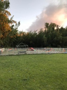 72992627_2356157421315585_2353442753070759936_n[1]